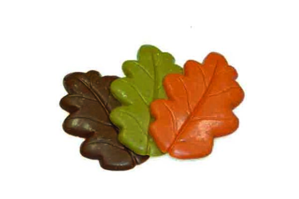 Herfstblaadjes kleur