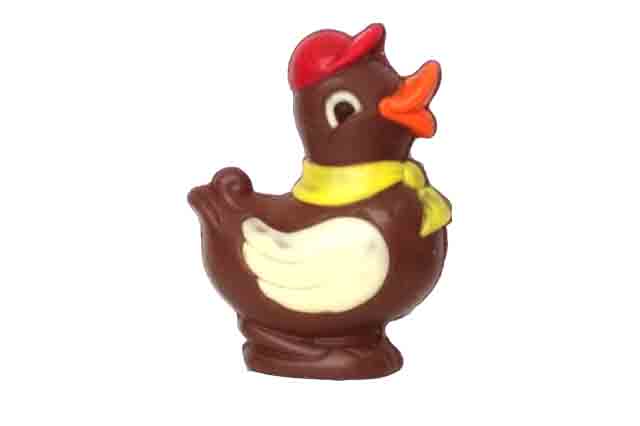 Gekleurde eend